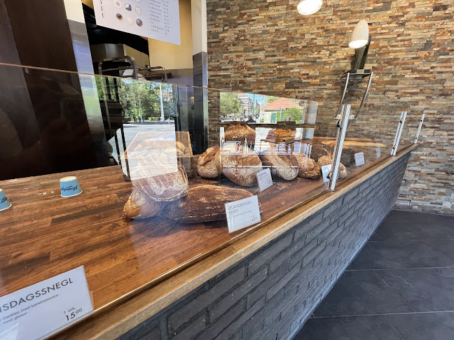 Comentarii opinii despre Bodenhoffs