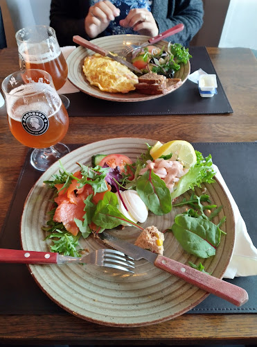 Comentarii opinii despre Skaal