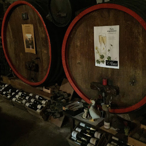 Opinii despre NP Vin - Vin Du Coeur în Kolding - Gastronomi og hotelvirksomhed