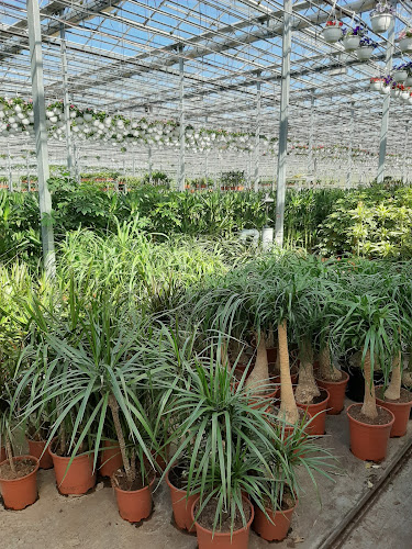 Gartneriet Nordfyn ApS - Gastronomi og hotelvirksomhed