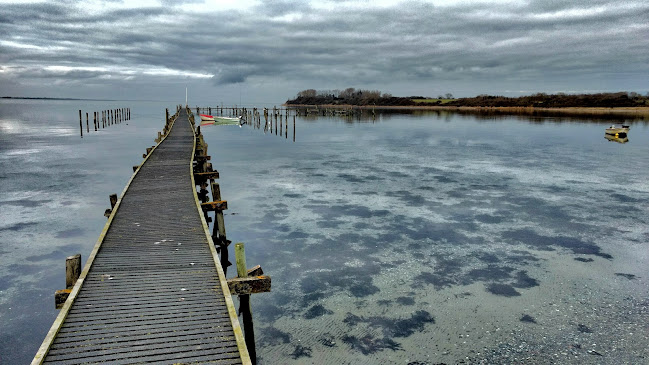 Comentarii opinii despre Den Gyldne Løve