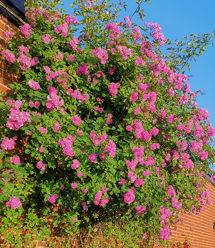 Comentarii opinii despre Guo Hui