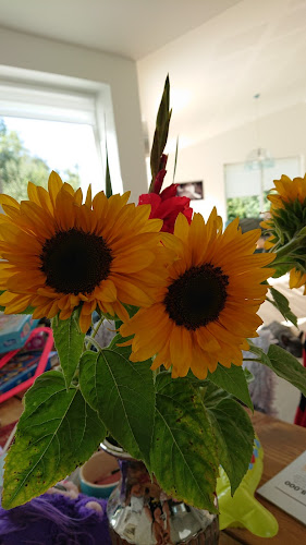 Pluk selv blomster - Ringsted