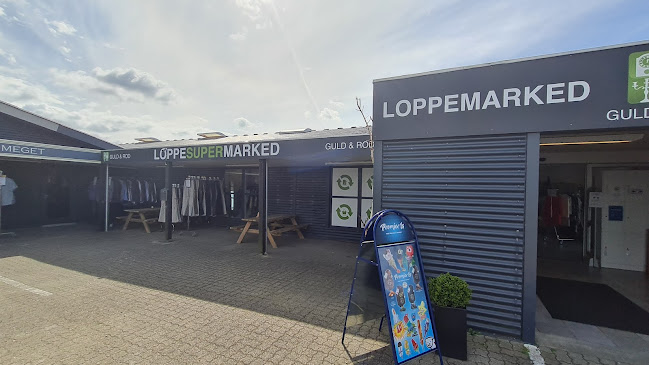 Guld & Rod Ribe - Ribe