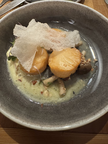 Ofelia Bar - Gastronomi og hotelvirksomhed