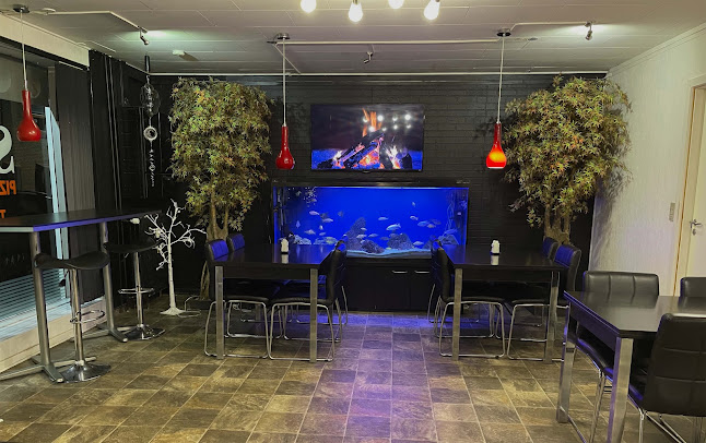 Safins Pizza & Grill - Gastronomi og hotelvirksomhed