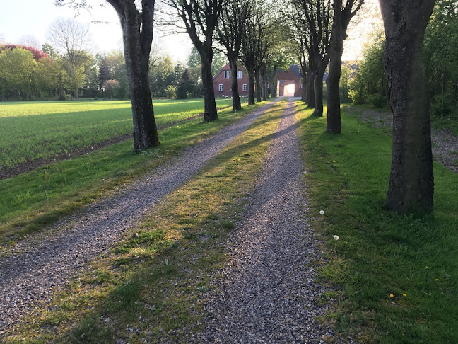 Gildesal, festlokale, møderum - Hjerm