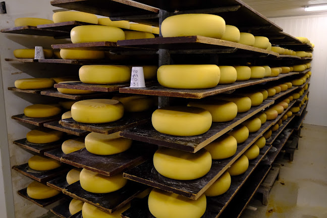 Comentarii opinii despre Sønderhaven Gårdmejeri