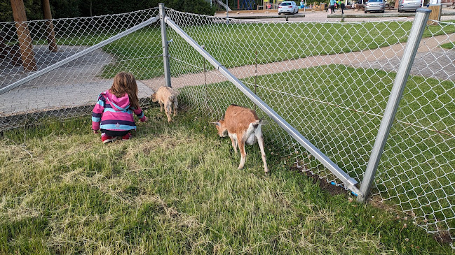 Jegum Café og Købmand - Oksbøl