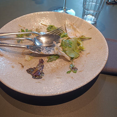 Comentarii opinii despre SURT