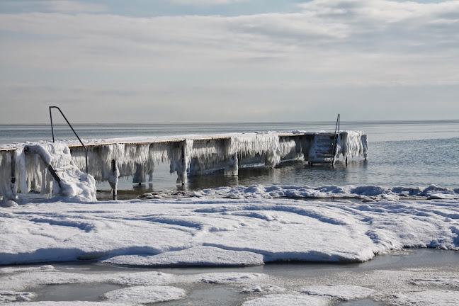 Strandløven - Solrød Strand