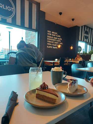 Comentarii opinii despre Ærligt