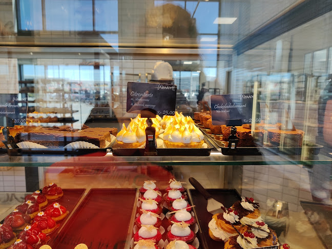 Comentarii opinii despre Bager Wendorff