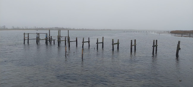 Opinii despre Café Odden/ Hillbilly Grill în Hadsund - Gastronomi og hotelvirksomhed