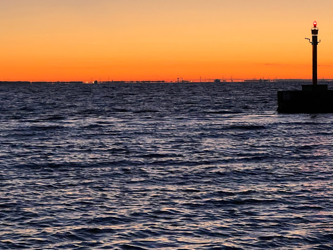 Comentarii opinii despre Kajens fisk & vildt