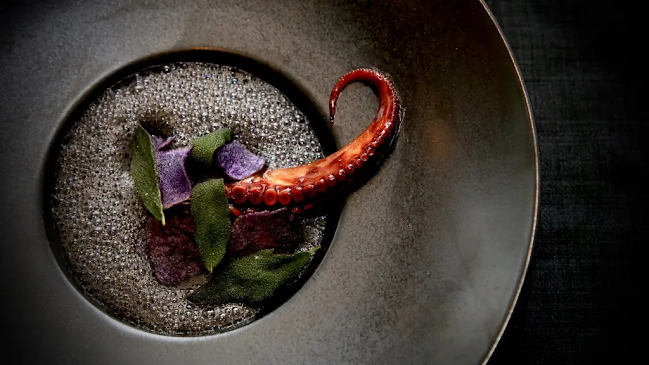 Restaurant Rebel - Gastronomi og hotelvirksomhed