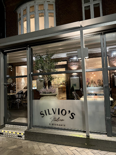 Comentarii opinii despre Silvio's Ristorante