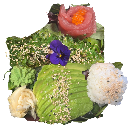 Hope Sushi - Gastronomi og hotelvirksomhed