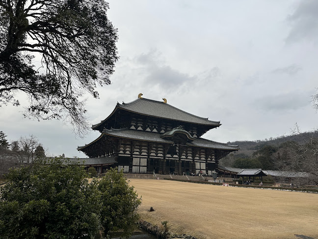 Opinii despre Strejf în Helsingør - Gastronomi og hotelvirksomhed