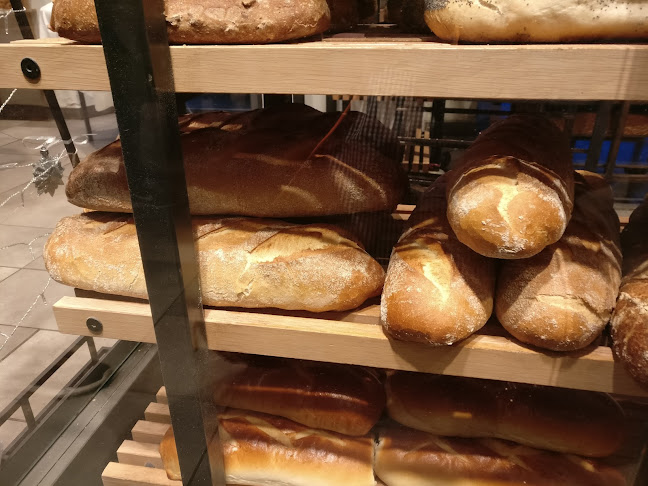 Comentarii opinii despre Bager Wendorff