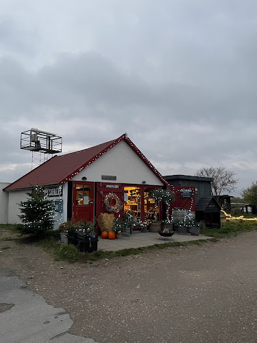 Fiskerlejet Café & Livemusik - Gastronomi og hotelvirksomhed