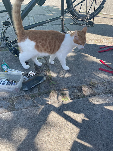 Frikadelle Sandwich - Dragør