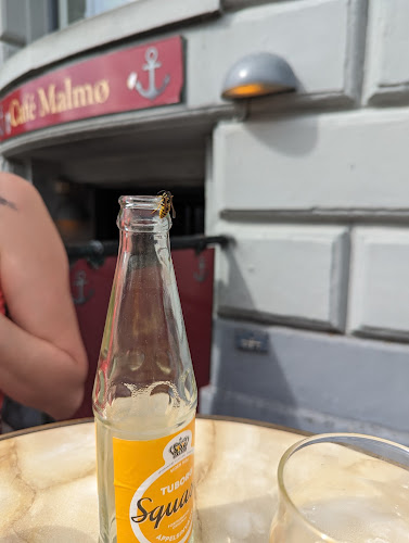 Café Malmø - Gastronomi og hotelvirksomhed