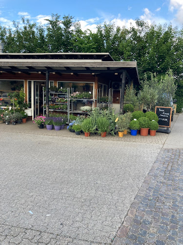 Opinii despre Cömert Blomster Rungsted în Hørsholm - Gastronomi og hotelvirksomhed