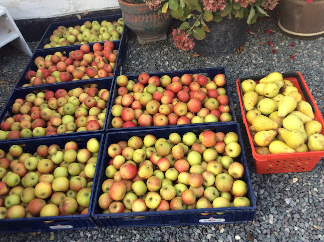"Ejendommens" lille vejbod - Gastronomi og hotelvirksomhed