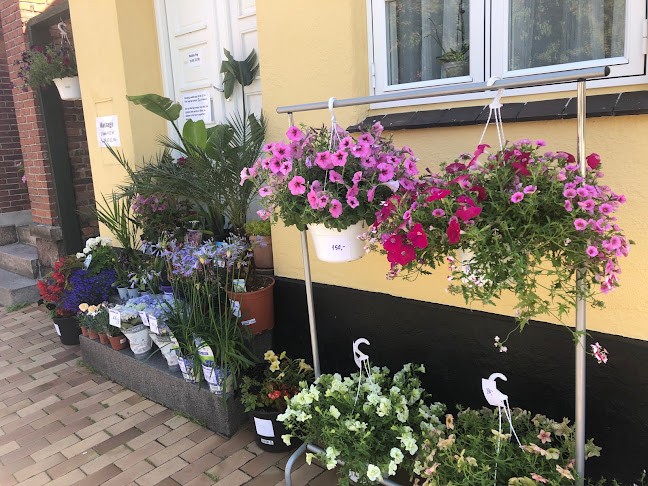 Comentarii opinii despre Æstetik og Velvære