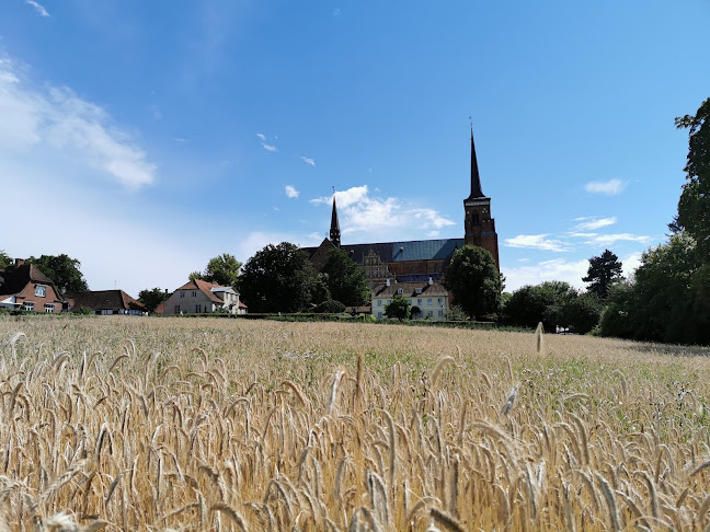 Comentarii opinii despre Pipers Hus