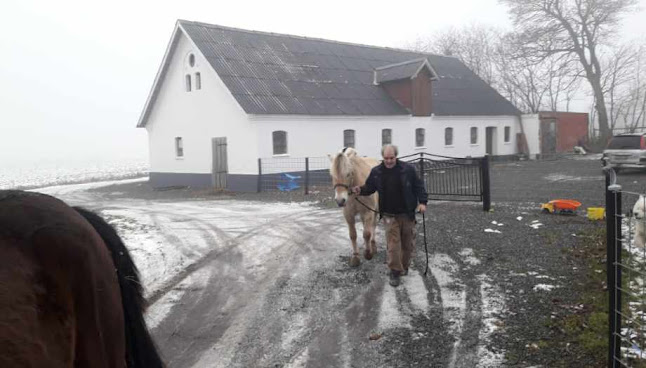 Opinii despre Thue Stilling în Vejle - Gastronomi og hotelvirksomhed