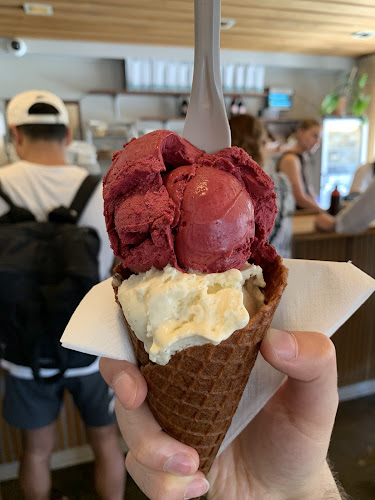 Alice Ice Cream & Coffee - Gastronomi og hotelvirksomhed