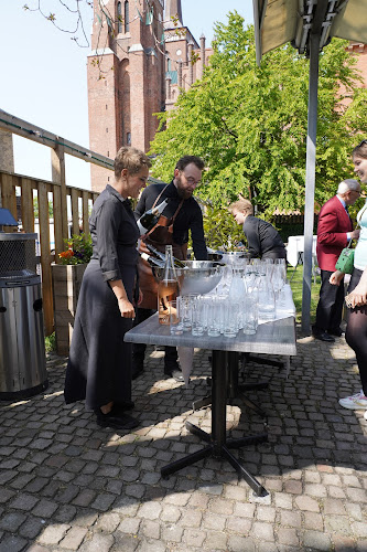 Comentarii opinii despre Restaurant Raadhuskælderen