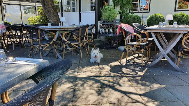 Comentarii opinii despre Hornbæk Bodega