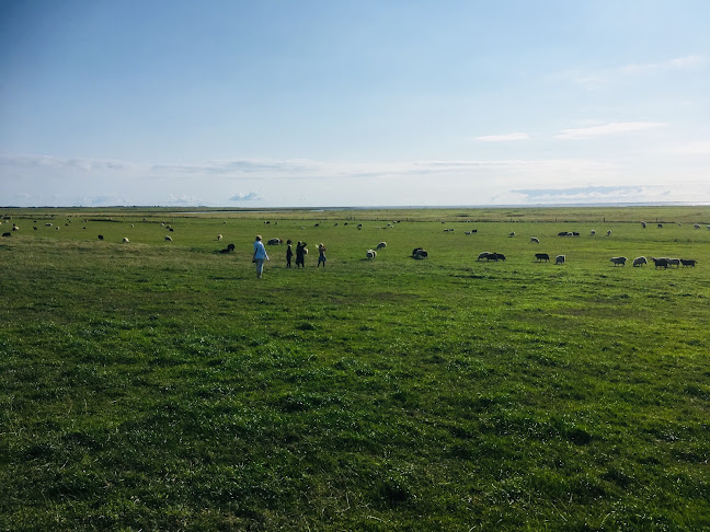 Comentarii opinii despre Kammerslusen