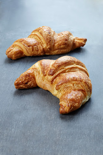 Comentarii opinii despre Reinh Van Hauen