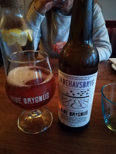 Comentarii opinii despre Restaurant Sælhunden