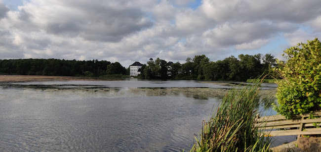 Doro Pizza Restaurant - Gastronomi og hotelvirksomhed