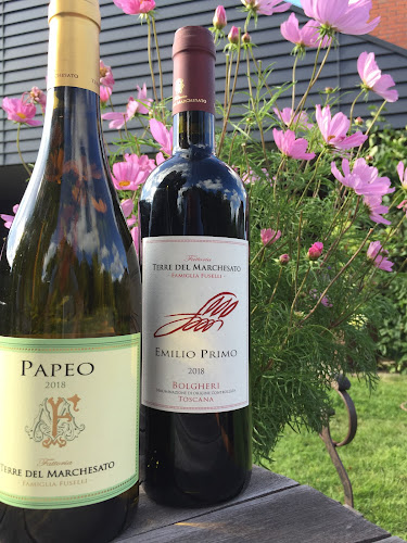 AAVino - Vin Fanø - Vin