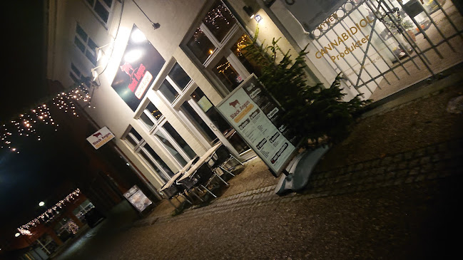 Comentarii opinii despre Black Angus