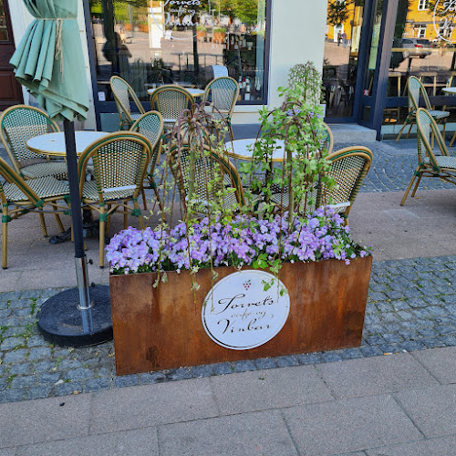 Comentarii opinii despre Torvets Café og Vinbar