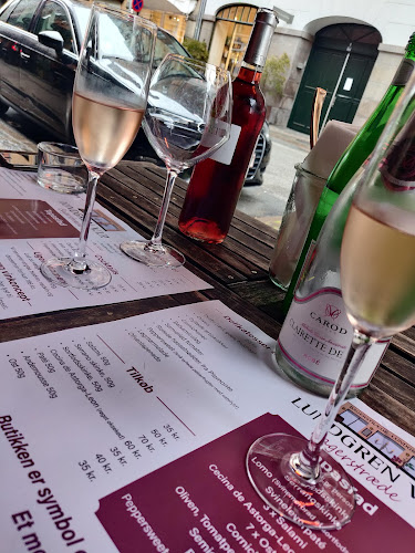 Lundgren V.I.P. - Gastronomi og hotelvirksomhed