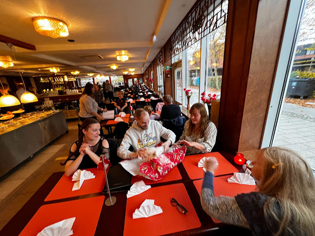 Comentarii opinii despre Hua Long