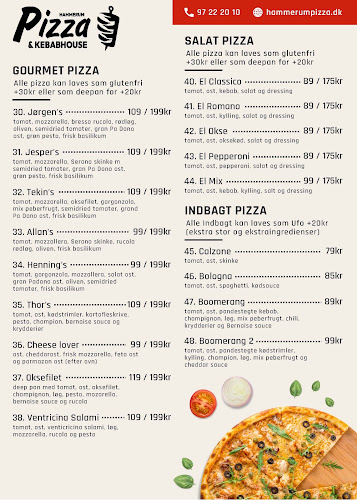 Opinii despre Hammerum Pizza og KebabHouse în Herning - Gastronomi og hotelvirksomhed