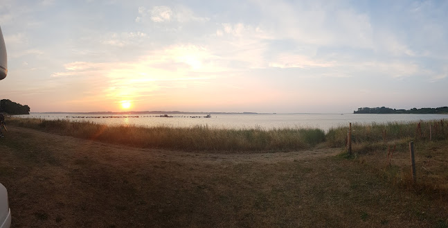 Opinii despre Den Gyldne Løve în Aabenraa - Gastronomi og hotelvirksomhed