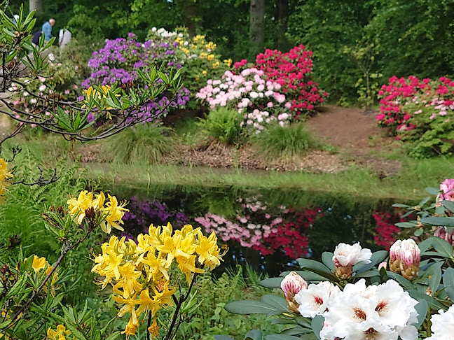 Nivaagaards Cafe - Nivå