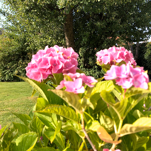 Opinii despre Arnakke Vinimport [Allerød] în Lillerød - Gastronomi og hotelvirksomhed