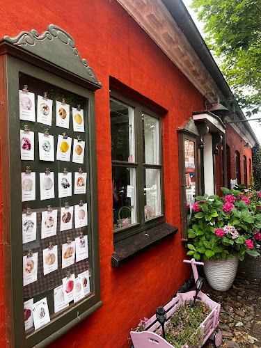 Snedkergaarden iscafe - Gastronomi og hotelvirksomhed