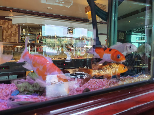 Asia Restaurant Esbjerg - Esbjerg